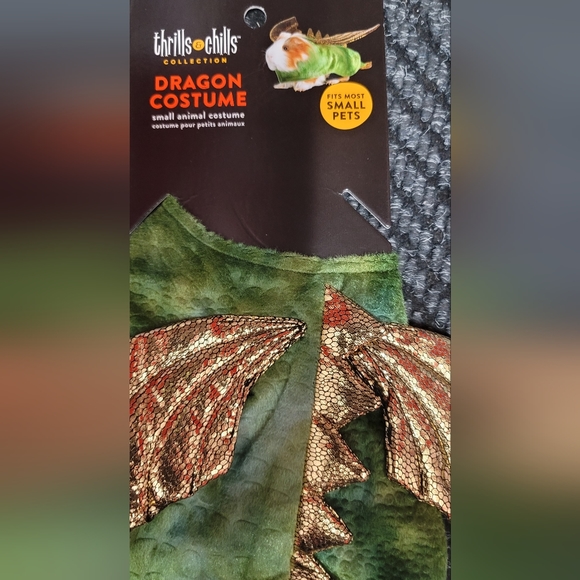 Small Pet Dragon costume - Picture 3 of 3